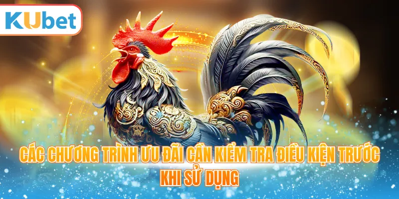 Các chương trình ưu đãi cần kiểm tra điều kiện trước khi sử dụng