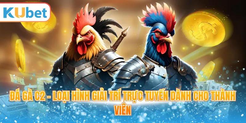 Đá gà C2 - Loại hình giải trí trực tuyến dành cho thành viên