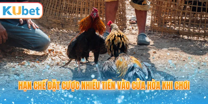 Hạn chế đặt cược nhiều tiền vào cửa hòa khi chơi