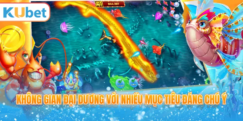 Không gian đại dương với nhiều mục tiêu đáng chú ý