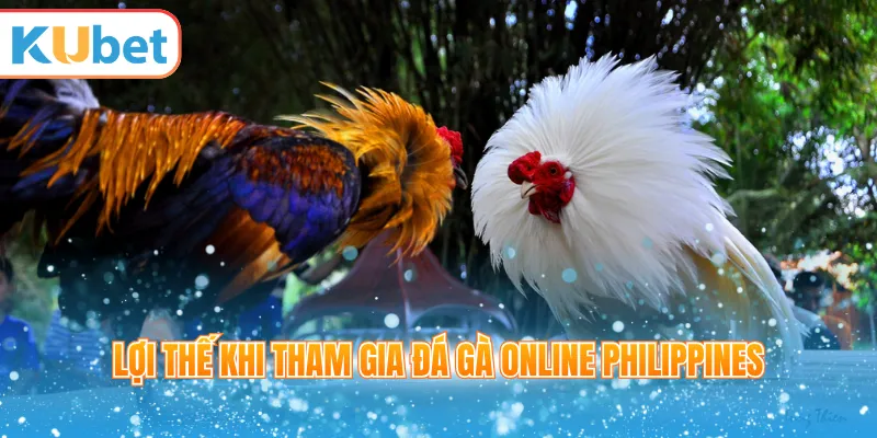 Lợi thế khi tham gia đá gà online Philippines