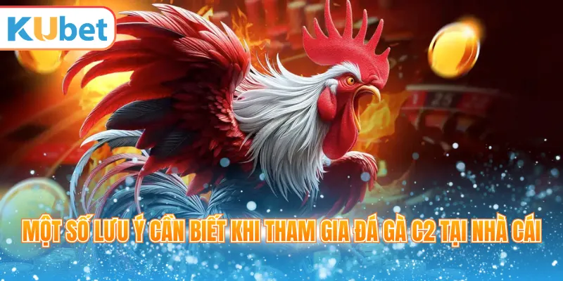 Một số lưu ý cần biết khi tham gia đá gà C2 tại nhà cái