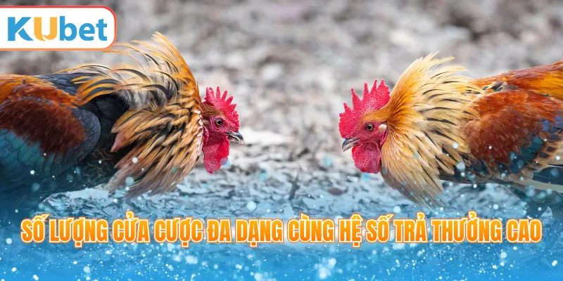Số lượng cửa cược đa dạng cùng hệ số trả thưởng cao
