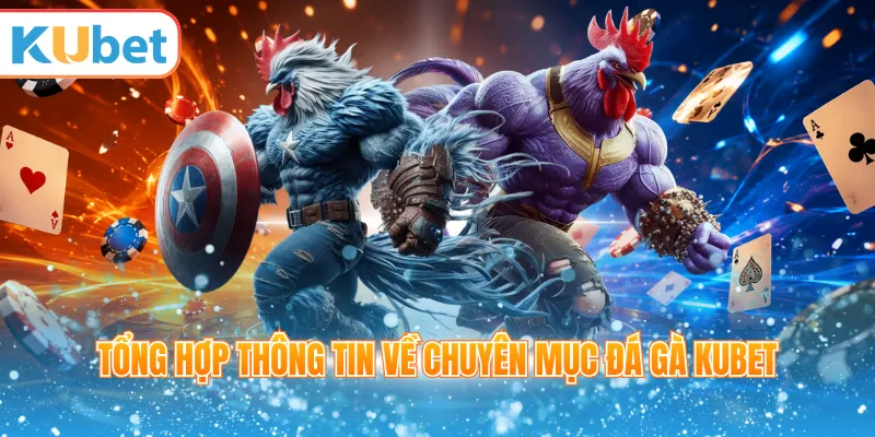 Tổng hợp thông tin về chuyên mục đá gà Kubet